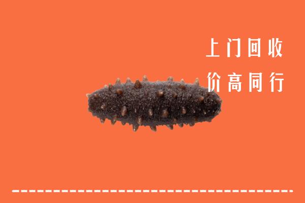 铜仁市沿河回收海参
