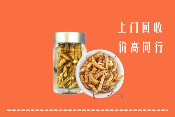 铜仁市沿河回收冬虫夏草